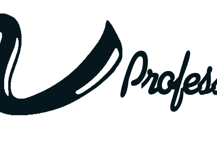 Jackson Professional Logo Decal
