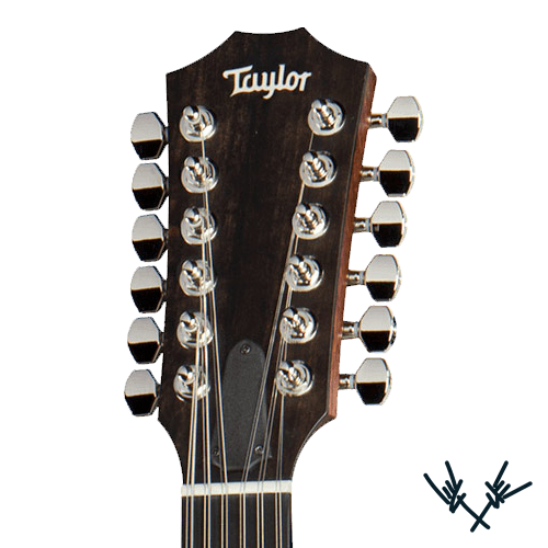 Taylor Guitars Headstock Decal