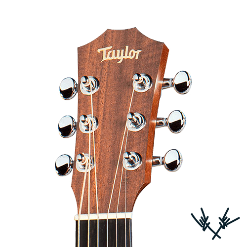 Taylor Guitars Headstock Decal