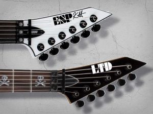 ESP LTD Waterslide Guitar Headstock Decals